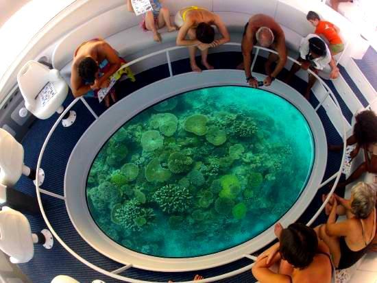 Paseo en Barco con Fondo de Cristal